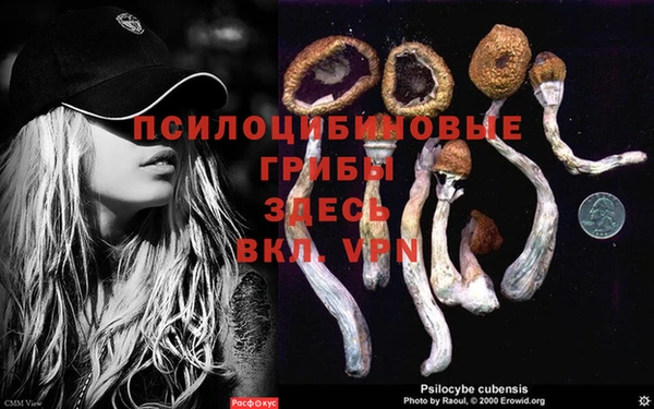 винт Абинск