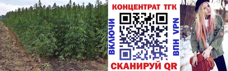 Дистиллят ТГК гашишное масло Азов